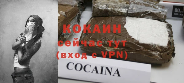 тгк Нея