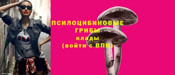 PSILOCYBIN Арсеньев
